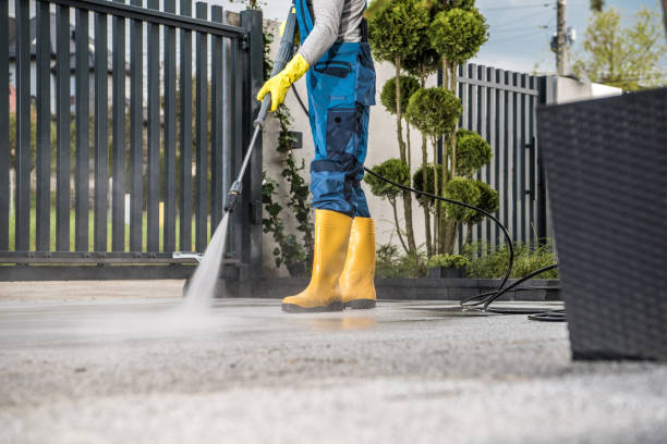 Best Roof Pressure Washing  in Ortonville, MI