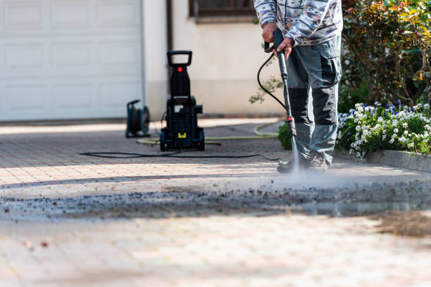 Best Roof Power Washing Services  in Ortonville, MI