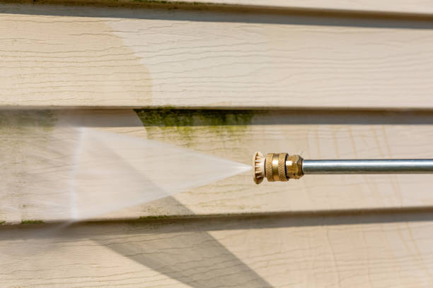 Best Roof Pressure Washing  in Ortonville, MI