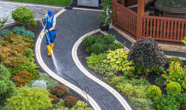 Best Affordable Power Washing  in Ortonville, MI