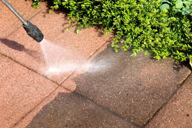 Best Garage Pressure Washing  in Ortonville, MI