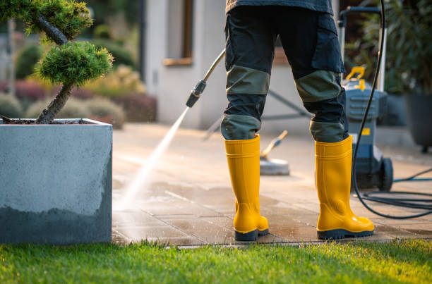 Best Affordable Power Washing  in Ortonville, MI